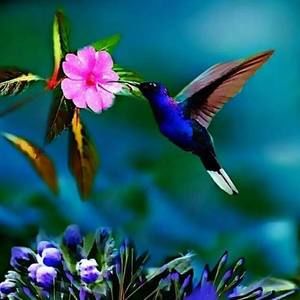 Meet your Posher, Melodie